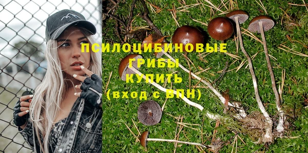 Альфа ПВП Баксан