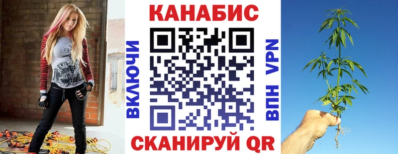 Бошки марихуана Amnesia  shop какой сайт  Колпашево 